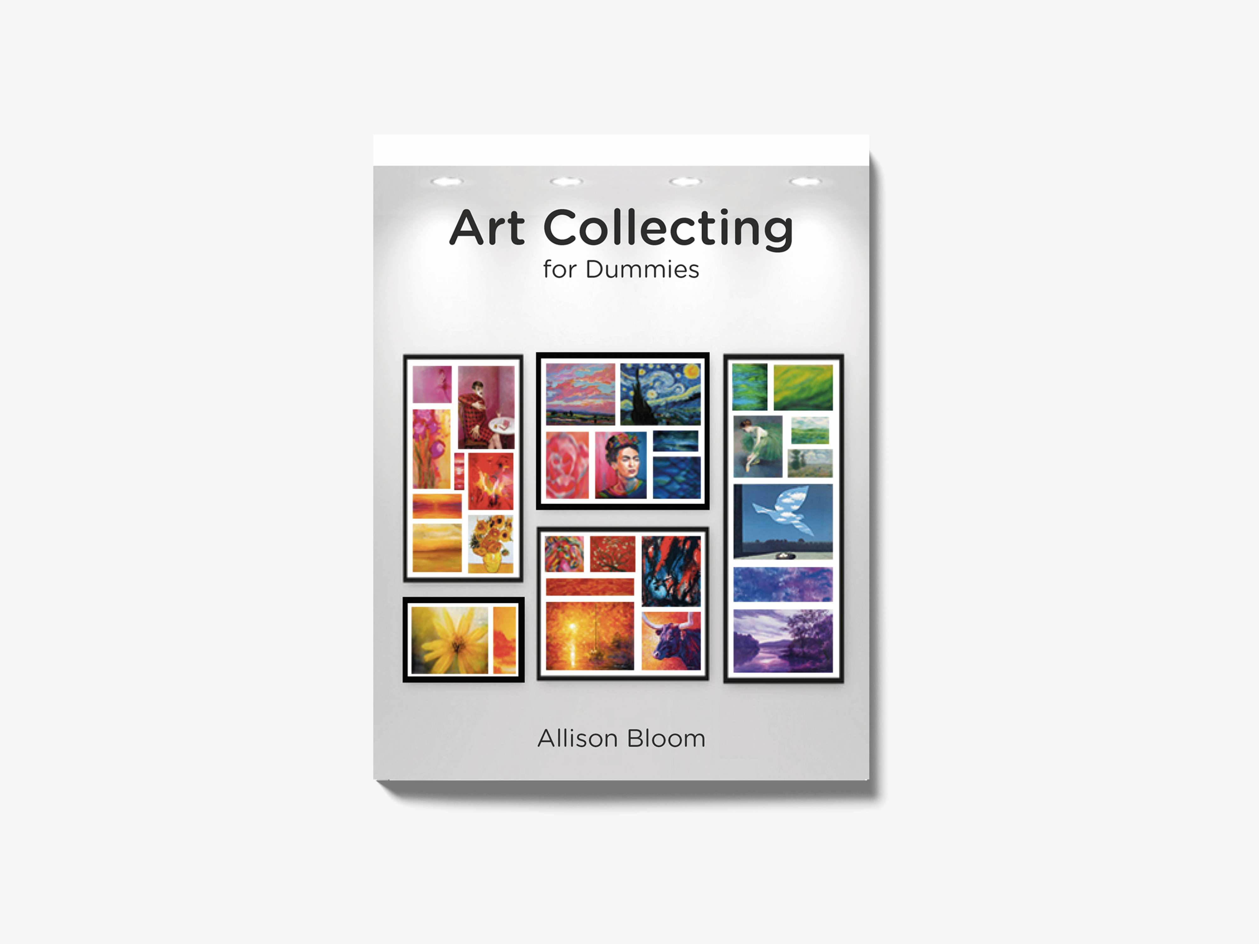 Art Collecting for Dummies Goksu Erinc